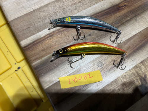 Daiwa minnow f fishing - dr.,